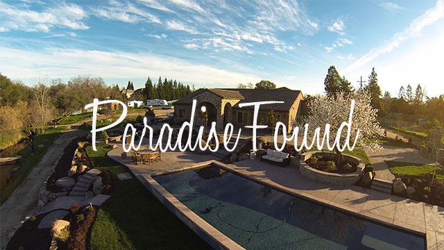 featured-img-paradise-found